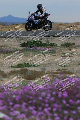media/Jan-14-2023-SoCal Trackdays (Sat) [[497694156f]]/Turn 14 Exit Bloomig (145pm)/